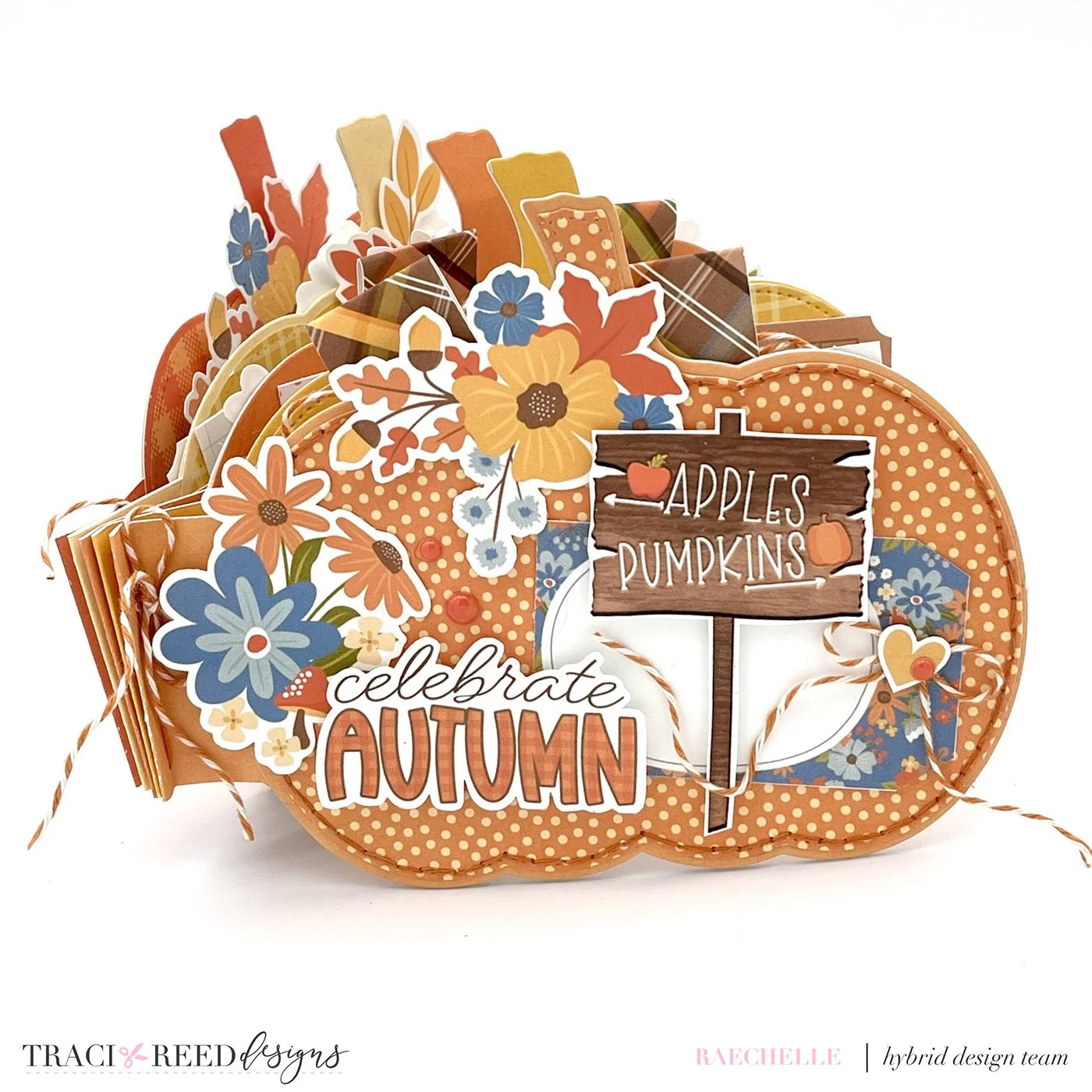 Celebrate Autumn Pumpkin Mini Album with Cider Season — Traci Reed